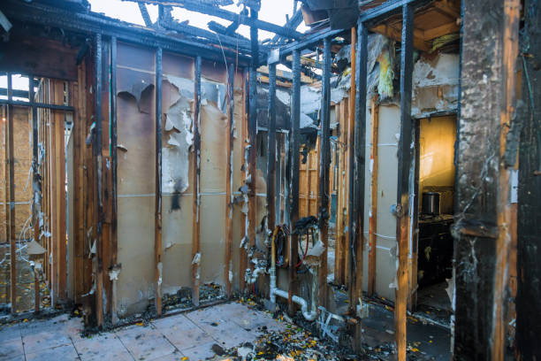 Professional Smoke Damage Removal technician working in Buena Vista, MI